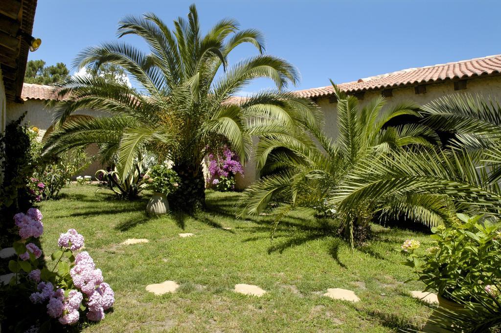 ביגוגליה Hotel Pineto חדר תמונה