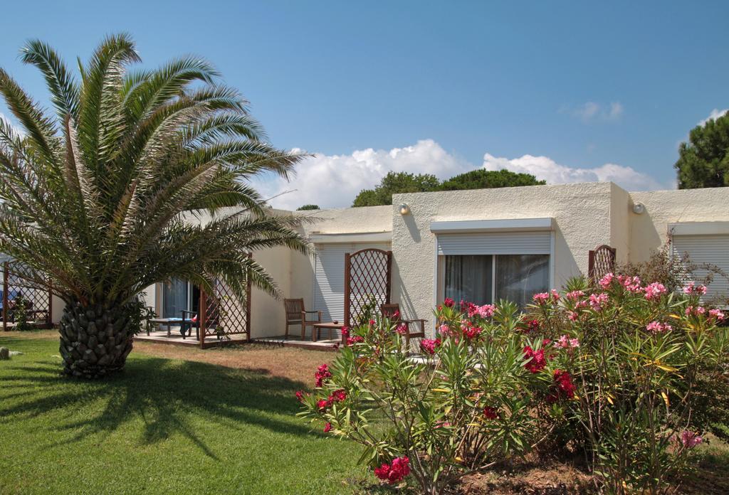 ביגוגליה Hotel Pineto חדר תמונה