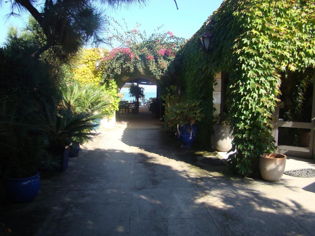 ביגוגליה Hotel Pineto מראה חיצוני תמונה