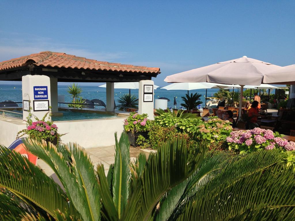 ביגוגליה Hotel Pineto מראה חיצוני תמונה